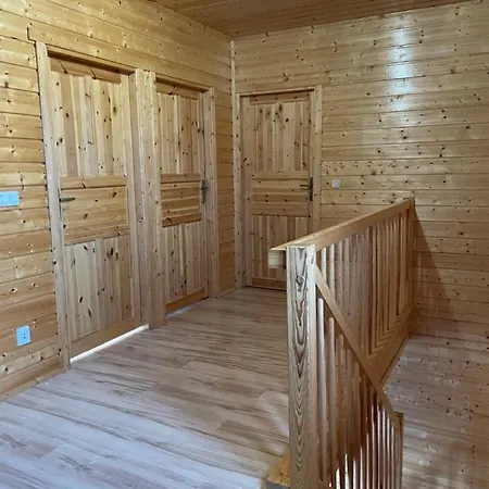 Octopus Домбки