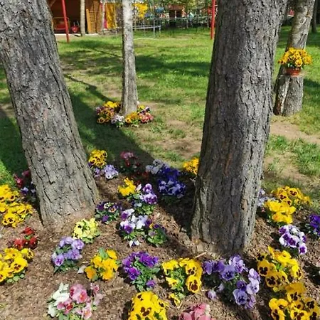 Octopus Дом отдыха *