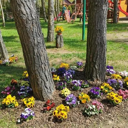 Дом отдыха Octopus