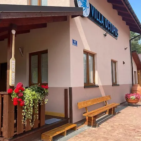 Octopus Dąbki