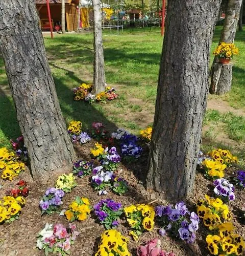 Octopus Casa vacanze *