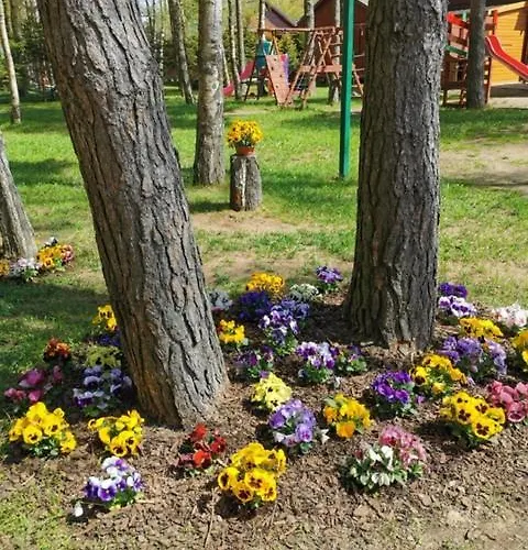 Casa vacanze Octopus